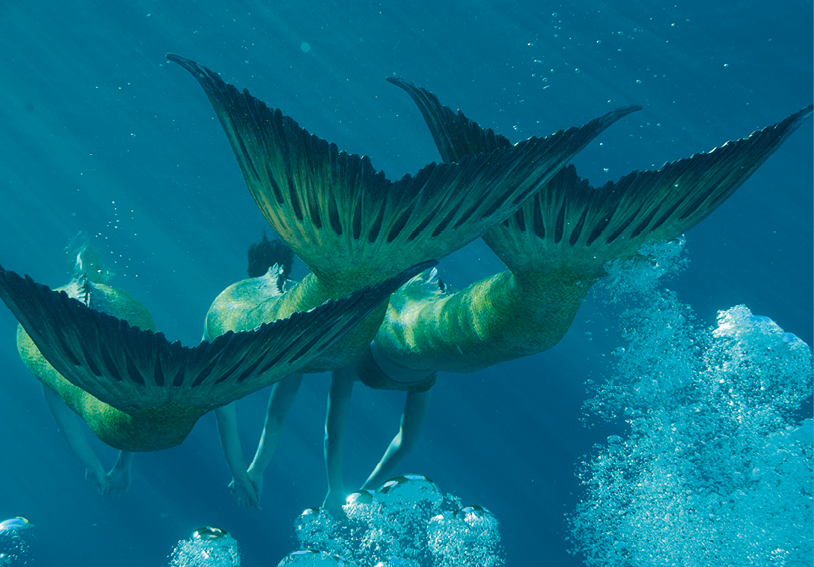 Mermairs Mako Island